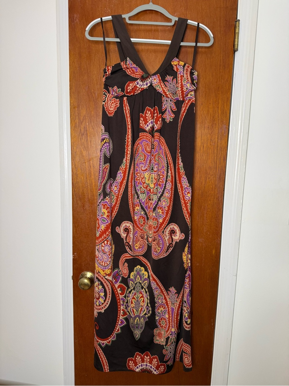 Alyn Paige Brown Paisley V-Neck Maxi Dress with Red and Purple Accents